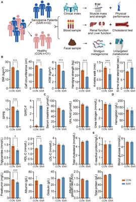 Metabolites of the gut microbiota may serve as precise diagnostic markers for sarcopenia in the elderly